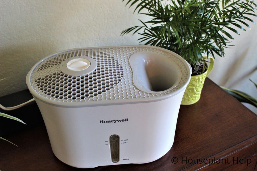 Best Humidifier for Houseplants (1)